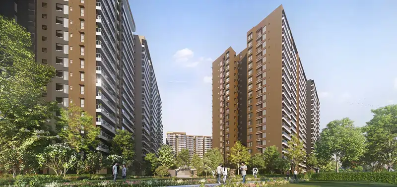 Prestige Evergreen